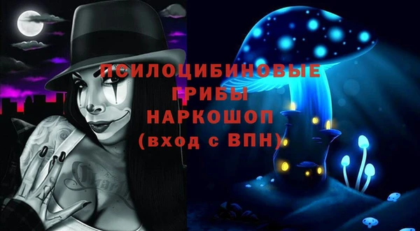 ECSTASY Новозыбков