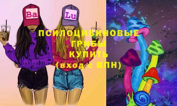 ECSTASY Новозыбков