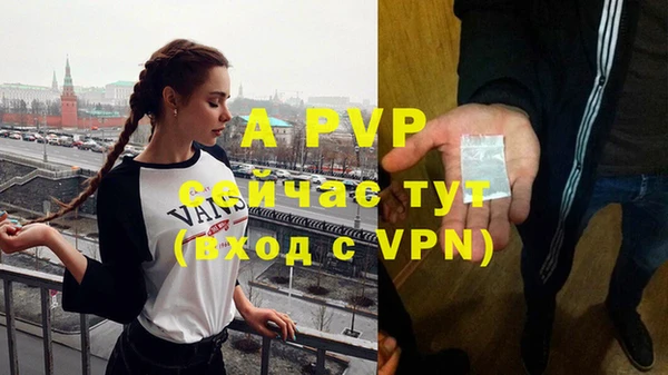 ECSTASY Новозыбков