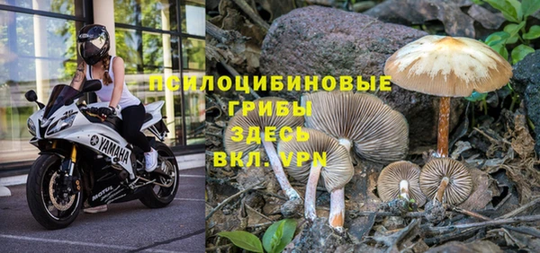 мескалин Новокубанск