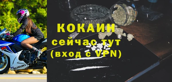 ECSTASY Новозыбков