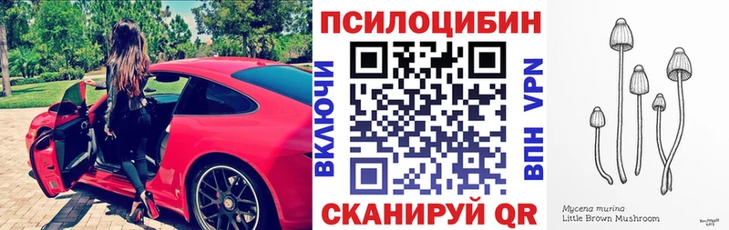 блэк спрут ТОР  Слободской  Псилоцибиновые грибы Cubensis 